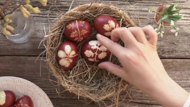 Mano Mujer Poniendo Huevos Pascua Caseros Teñidos Con Cáscaras Cebolla — Vídeos de Stock