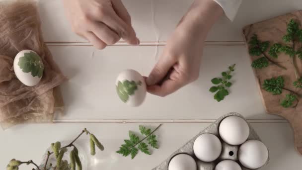 Preparazione Uova Pasqua Tintura Con Bucce Cipolla Attaccando Erbe Fresche — Video Stock