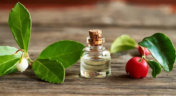 Una Botella Aceite Esencial Aromaterapia Con Hojas Verdor Invernal Bayas — Foto de Stock