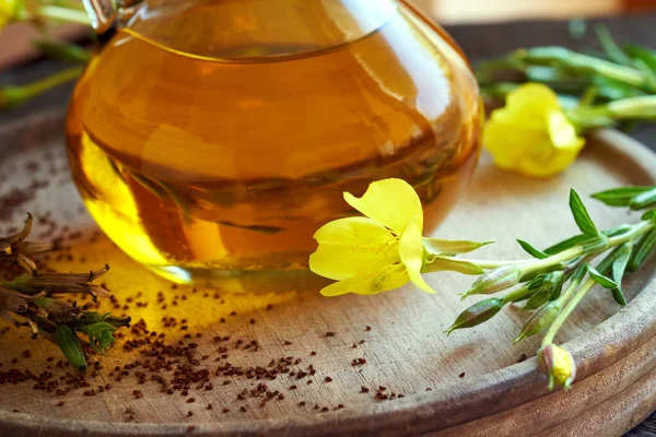 Oenothera biennis çiçekleri, tohumlar, arka planda bir şişe çuha çiçeği yağı.