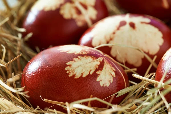 Kahverengi Paskalya Yumurtaları Soğan Kabuklarıyla Renklendirilmiş Sepetin Içinde Taze Bitkiler — Stok fotoğraf