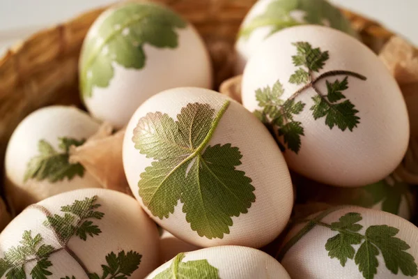 Çiğ Paskalya Yumurtalarına Eski Çoraplar Iliştirilmiş Otlar Soğan Kabuklarıyla Boyama — Stok fotoğraf