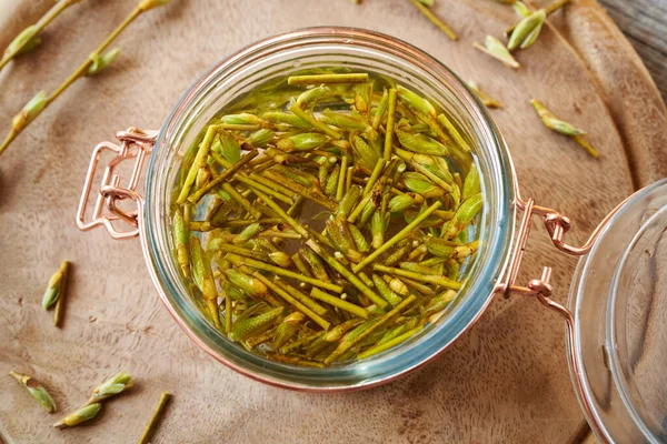 Jar Filled Cut Young Willow Branches Bark Buds Preparation Homemade — Stock Photo, Image