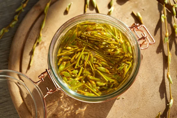 Glass Jar Filled Young Willow Branches Bark Buds Preparation Herbal — Stock Photo, Image