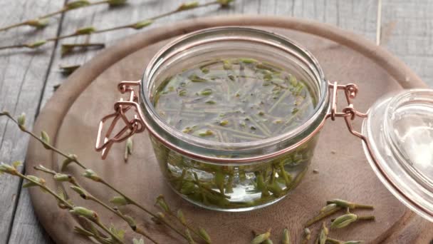 Closing Glass Jar Filled Alcohol Young Willow Branches Buds Bark — Stock Video