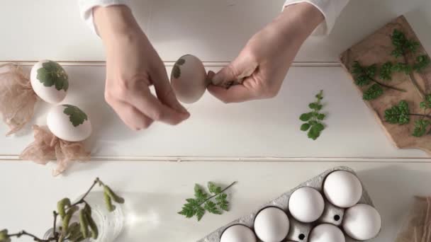 Frische Kräuter Rohen Ostereiern Anbringen Vorbereitung Zum Färben Mit Zwiebelschalen — Stockvideo