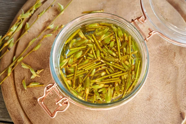 Preparation Homemade Herbal Tincture Young Willow Branches Buds Bark Early — Stock Photo, Image