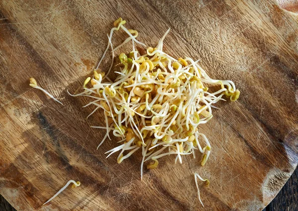 Fresh Sprouted Fenugreek Trigonella Seeds — Stock Photo, Image
