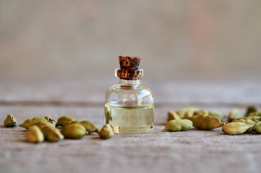 Bir şişe aromaterapi gerekli yağ ile kakule tohumları, kopyalanmış boşluk