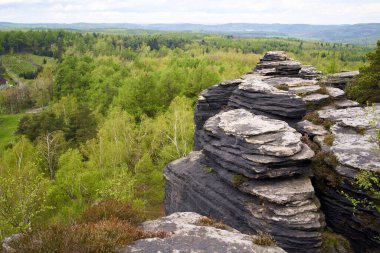 Tiske Steny ya da Tisa, baharda Çek Cumhuriyeti 'nin Bohemya şehrileri.