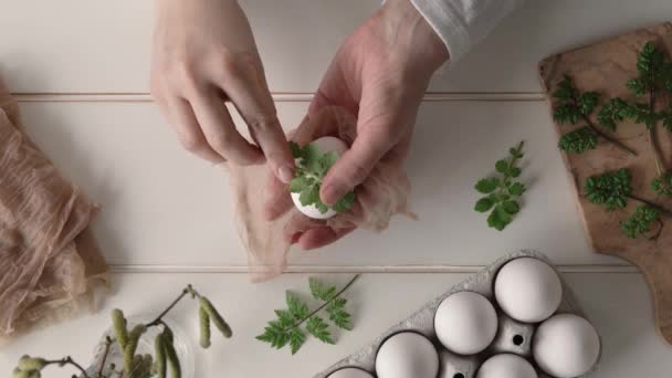 Frische Frühlingsblätter Rohe Ostereier Kleben Vorbereitung Zum Färben Mit Zwiebelschalen — Stockvideo