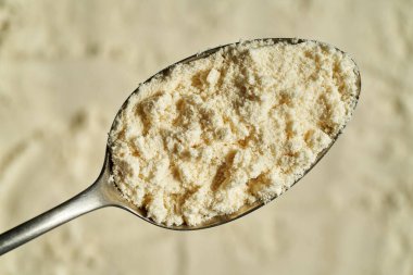 Metal kaşıkta beyaz protein tozu - sağlıklı besin takviyesi