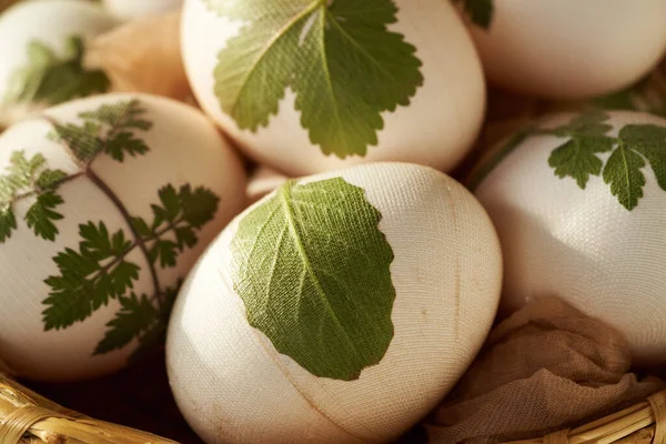Çiğ Paskalya Yumurtaları Üzerine Taze Yapraklar Yapıştırılmış Soğan Kabuklarıyla Boyanmaya — Stok fotoğraf