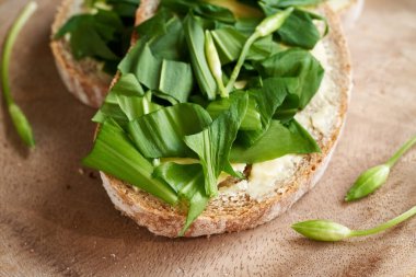 Baharda bir dilim ekşi ekmeğin üzerinde toplanan yabani sarımsak ya da Ramson yaprakları.