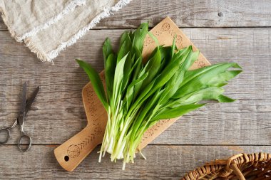 Taze, vahşi sarımsak ya da Ramson yaprakları ilkbaharın başlarında, kırsal bir arka planda.