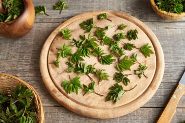Bahar ayında tahta kesme tahtasının üzerinde taze, genç, yaşlı toprak yaprağı ya da gutweed yaprakları