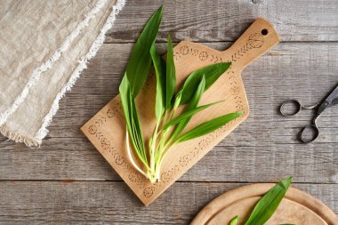 Baharda tahta kesme tahtasında toplanan taze sarımsak yaprakları ve tomurcuklar.