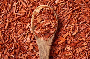 Red sandalwood chips on a wooden spoon - ingredient for perfumes and aromatherapy clipart