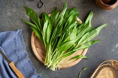 Ayı sarımsağı ya da Allium ursinum taze yaprakları baharda bir masada toplanır.