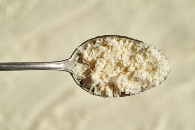 Metal kaşıkta kurutulmuş beyaz protein tozu.