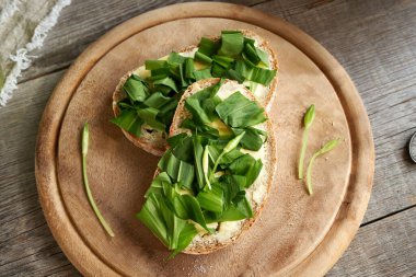 Baharda ekşi ekmek dilimlerinde yabani sarımsak yaprakları ve tomurcuklar.