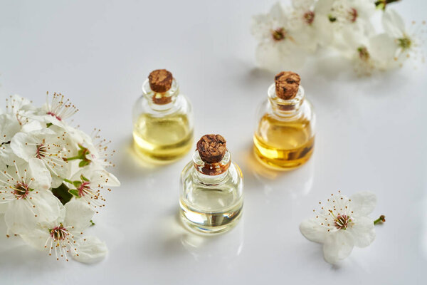 Эфирные бутылки масла с белыми цветущими ветвями деревьев весной на белом фоне