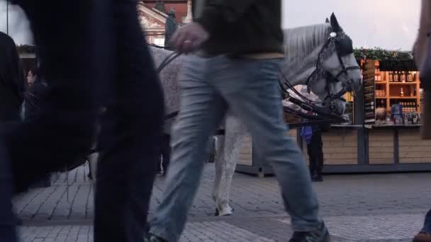 Praag Tsjechië April 2022 Paarden Wachten Het Oude Stadsplein Toeristen — Stockvideo