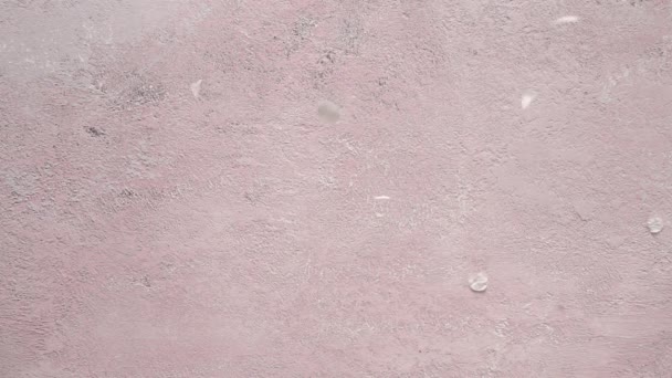 White Flower Petals Falling Pink Background Slow Motion — Video