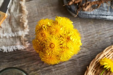 Taze karahindiba çiçekleri baharda toplanır ve kökleri arka planda kalır.