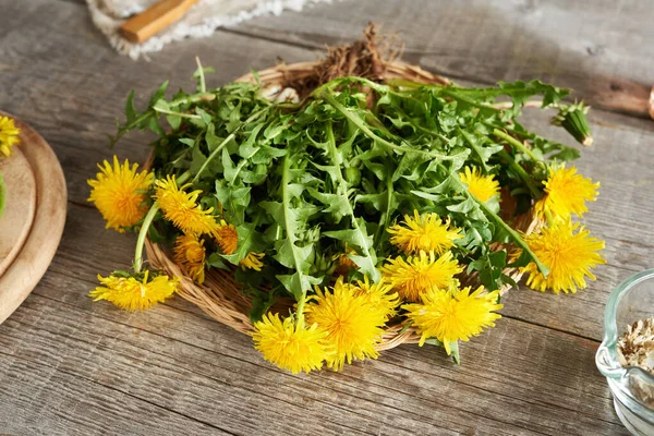 Ganze Blühende Löwenzahnpflanzen Mit Wurzeln Korb Auf Einem Tisch Frühling — Stockfoto