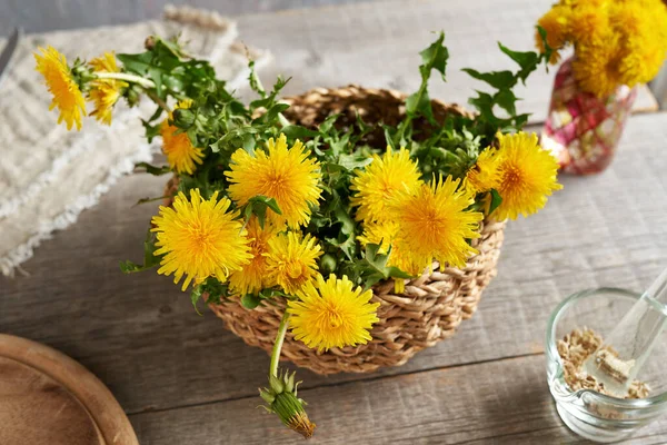 Egész Virágzó Pitypang Növények Egy Kosárban Asztalon Tavasszal — Stock Fotó