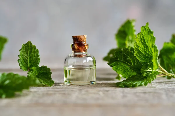 Een Fles Etherische Olie Met Verse Melissa Bladeren Een Houten — Stockfoto