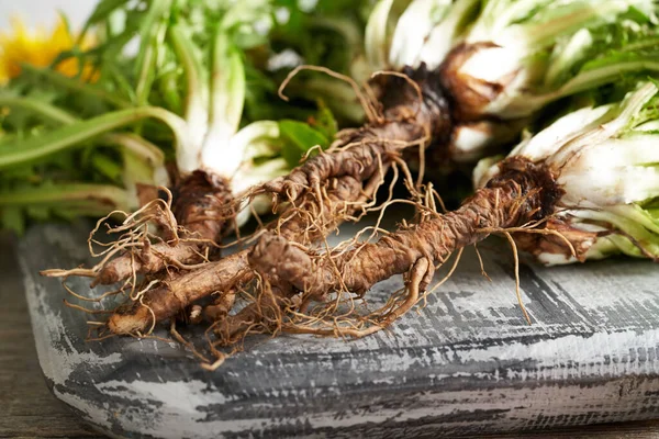 Closeup Dandelion Roots Natural Herbal Remedy —  Fotos de Stock