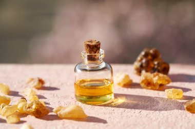 Pembe arka planda tütsü reçinesi ve güneş ışığı içeren bir şişe aromaterapi.