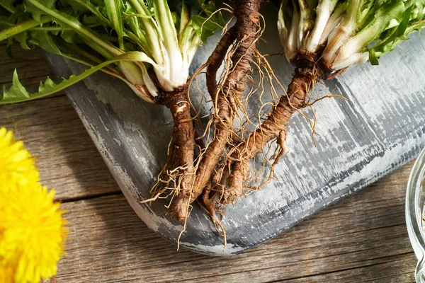 Baharda taze karahindiba kökü kapanışı, üst manzara.