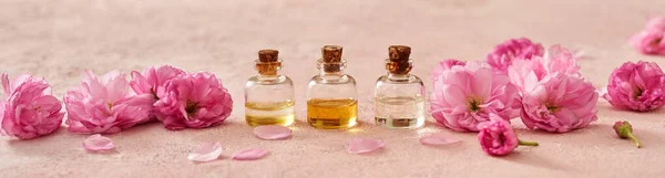 Spring Banner Bottles Aromatherapy Essential Oils Pink Kwanzan Cherry Blossoms — Foto de Stock