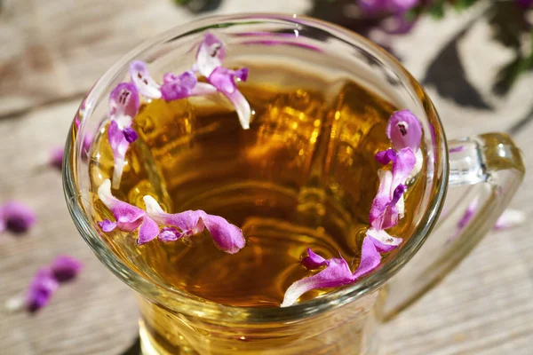 Fresh Purple Dead Nettle Blossoms Cup Herbal Tea — Stock Fotó