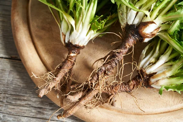 Close Whole Dandelion Root Table Ingredient Herbal Medicine —  Fotos de Stock