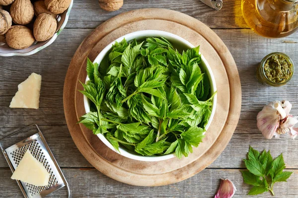 Hojas Saúco Recién Molidas Recogidas Primavera Con Ingredientes Para Hacer — Foto de Stock