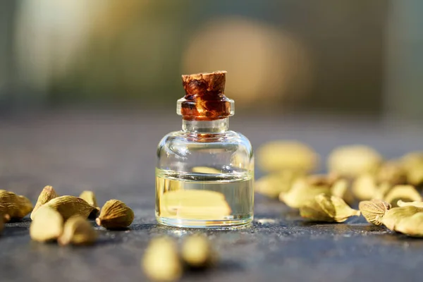 Bottle Aromatherapy Essential Oil Whole Cardamom Seeds Outdoors — Foto de Stock