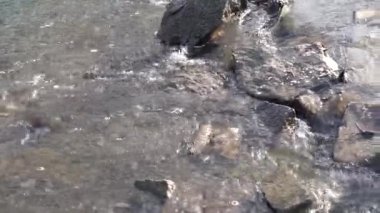 Water flowing in a brook
