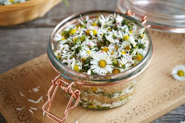 Dilimlenmiş papatya çiçekleri ve kamış şekeriyle dolu cam kavanoz. Ev yapımı bitkisel şurup.