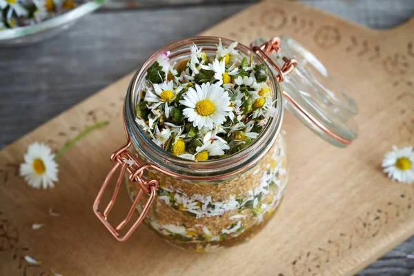 Jar Filled Fresh Common Daisy Flowers Cane Sugar Preparation Homemade - Stock-foto