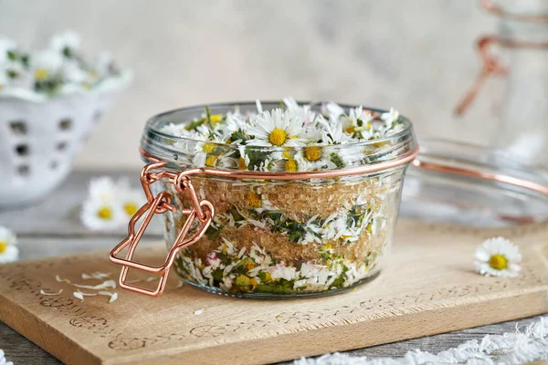 Preparation Homemade Herbal Syrup Fresh Daisy Flowers Collected Spring Glass — Stock Fotó