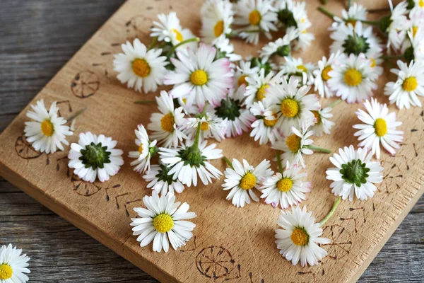 Closeup Fresh Common Daisy Flowers Wooden Cutting Board Spring Ingredient - Stock-foto