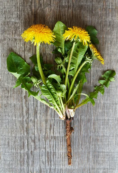 Whole Dandelion Plant Roots Wooden Background Top View — Photo