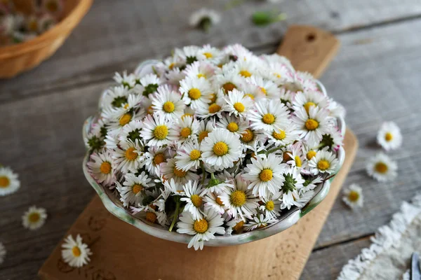 Common Daisy Flowers Bowl Ingredient Homemade Herbal Syrup — 스톡 사진