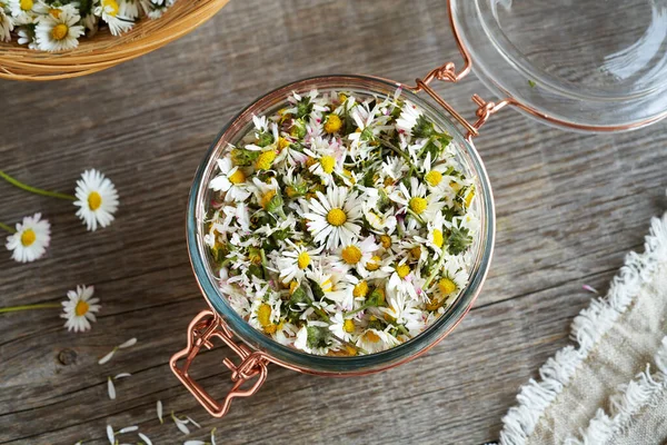 Jar Filled Fresh Common Daisy Flowers Collected Spring Sugar Preparation — Stock Fotó