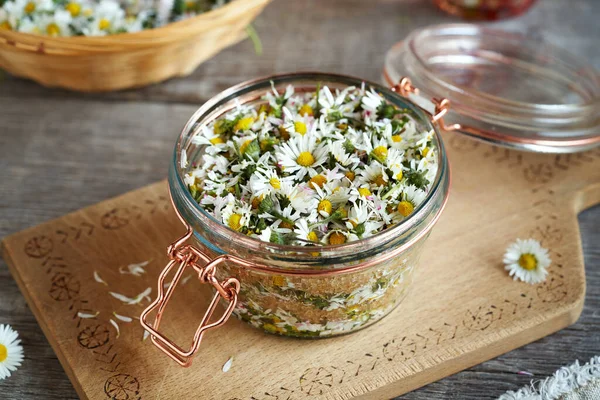 Preparation Homemade Herbal Syrup Fresh Common Daisy Flowers Collected Spring — стоковое фото