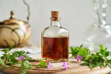 Bir şişe bitkisel tentürle taze çiçek açmış bitki-Robert bitkisi.